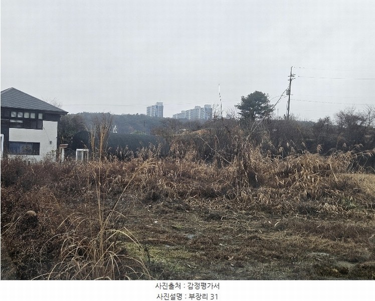 2024타경5214 충청남도 서산시 음암면 부장리 31 농지 경매 이미지