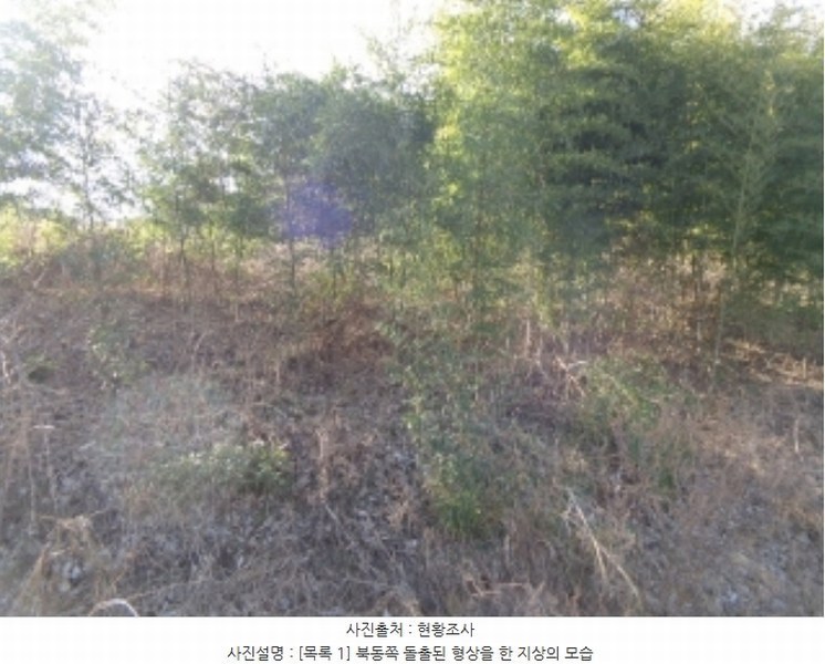 2024타경5276 충청남도 서산시 팔봉면 금학리 1283-9 농지 경매 이미지