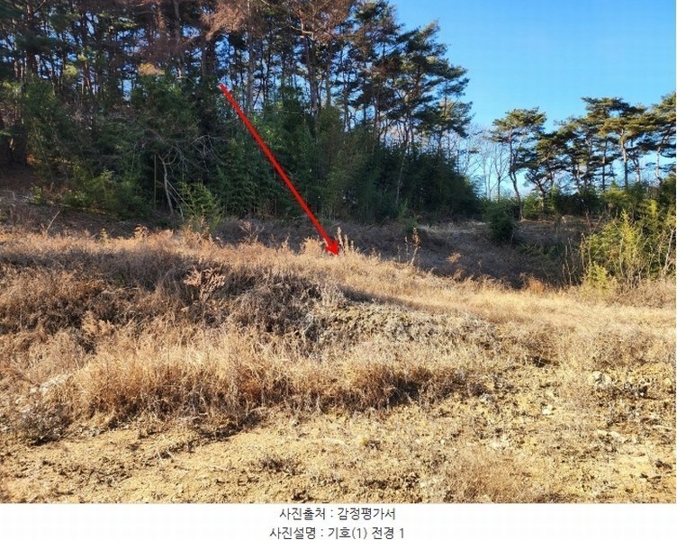 2024타경5276 충청남도 서산시 팔봉면 금학리 1283-9 농지 경매 이미지