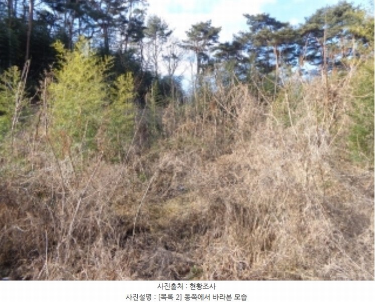 2024타경5276 충청남도 서산시 팔봉면 금학리 1283-9 농지 경매 이미지