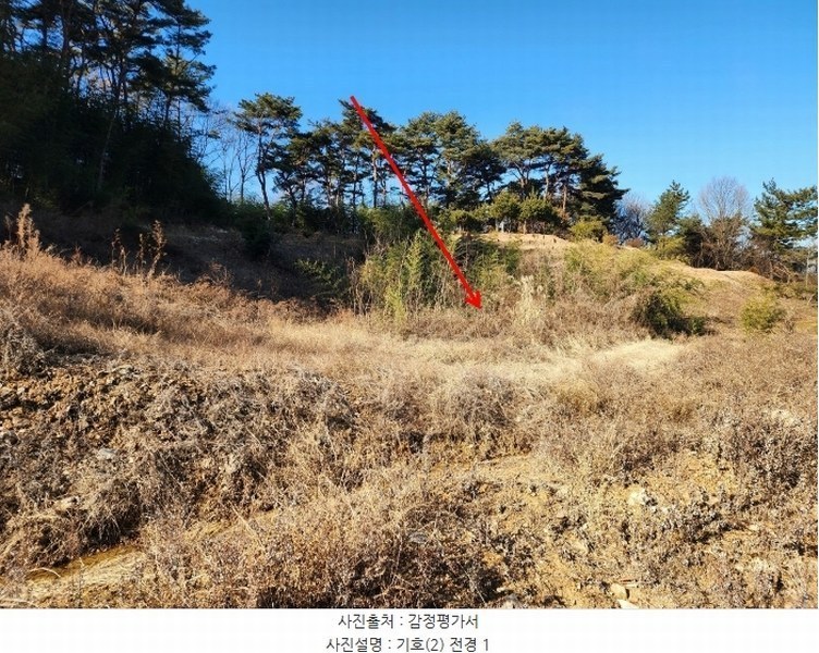 2024타경5276 충청남도 서산시 팔봉면 금학리 1283-9 농지 경매 이미지