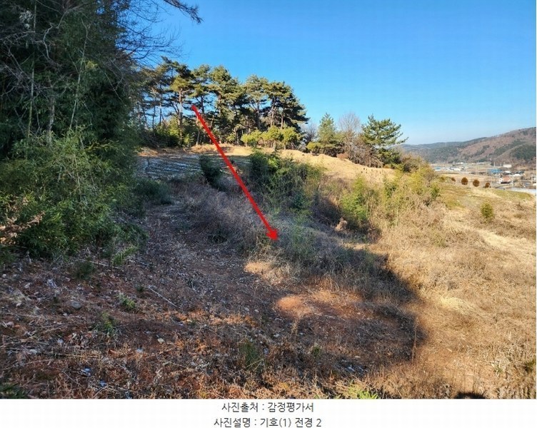 2024타경5276 충청남도 서산시 팔봉면 금학리 1283-9 농지 경매 이미지