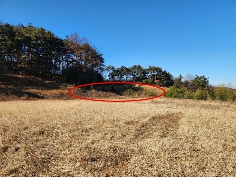 2024타경5276 충청남도 서산시 팔봉면 금학리 1283-9 농지 경매 이미지