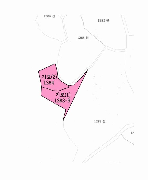 2024타경5276 충청남도 서산시 팔봉면 금학리 1283-9 농지 경매 이미지
