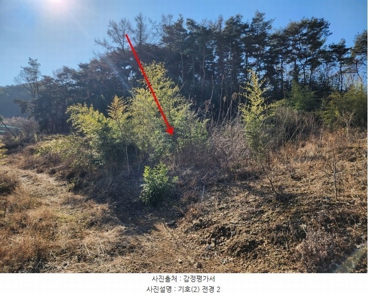 2024타경5276 충청남도 서산시 팔봉면 금학리 1283-9 농지 경매 이미지