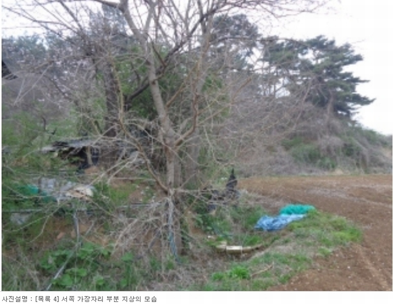 2024타경52685 충청남도 서산시 팔봉면 덕송리 769-1 농지 경매 이미지