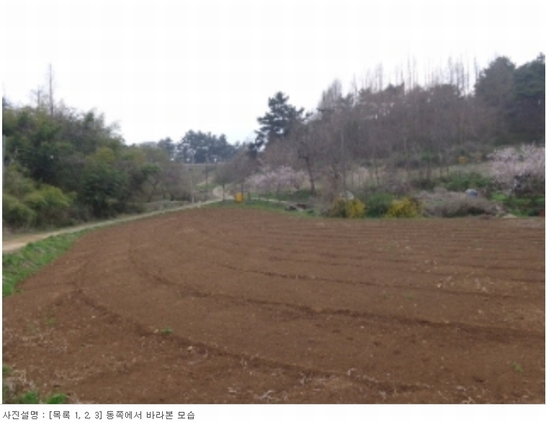 2024타경52685 충청남도 서산시 팔봉면 덕송리 769-1 농지 경매 이미지