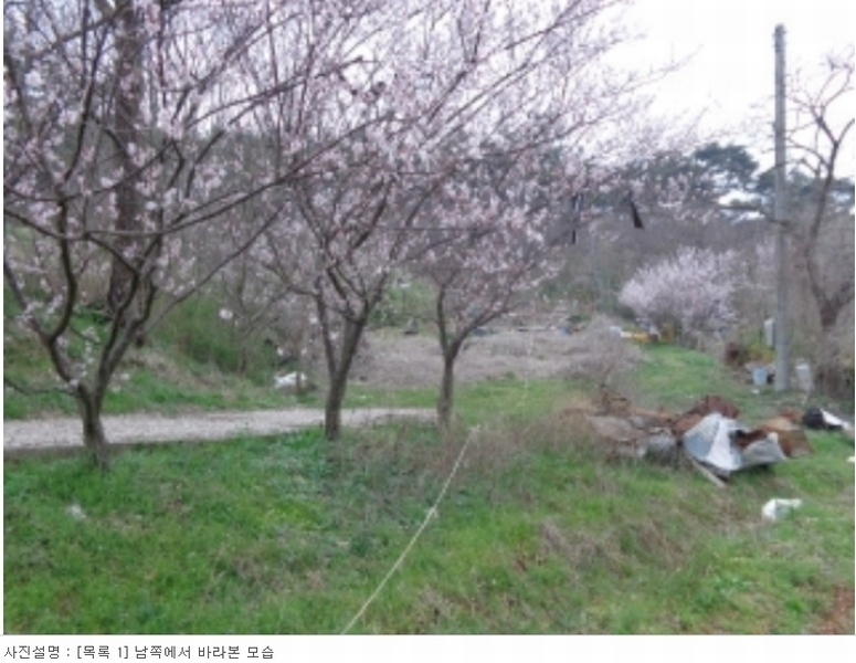 2024타경52685 충청남도 서산시 팔봉면 덕송리 769-1 농지 경매 이미지