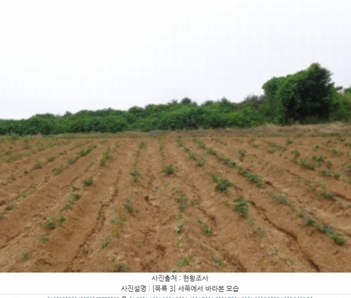 2024타경55721 충청남도 태안군 고남면 누동리 914 임야 경매 이미지