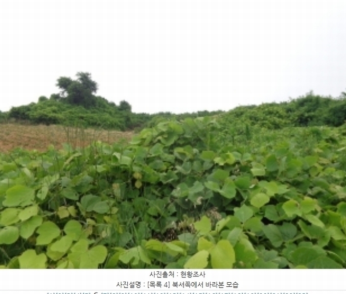 2024타경55721 충청남도 태안군 고남면 누동리 914 임야 경매 이미지