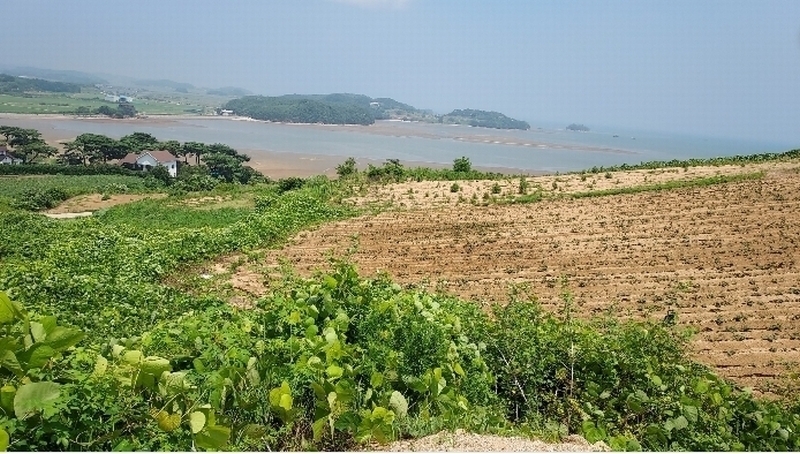 2024타경55721 충청남도 태안군 고남면 누동리 914 임야 경매 이미지
