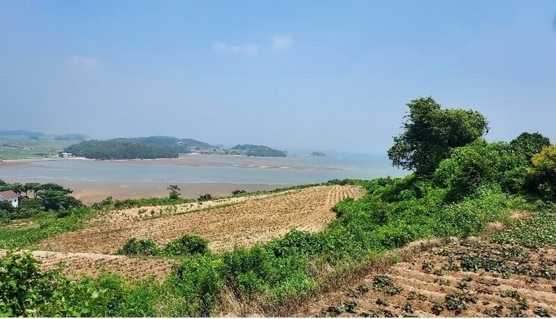 2024타경55721 충청남도 태안군 고남면 누동리 914 임야 경매 이미지