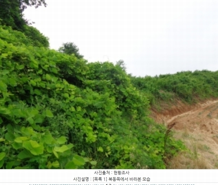 2024타경55721 충청남도 태안군 고남면 누동리 914 임야 경매 이미지