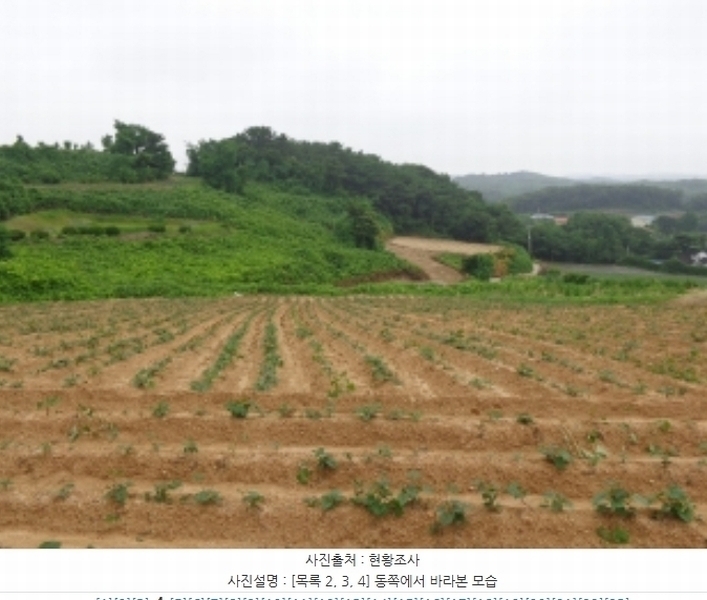 2024타경55721 충청남도 태안군 고남면 누동리 914 임야 경매 이미지
