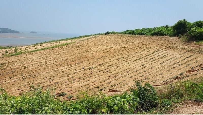2024타경55721 충청남도 태안군 고남면 누동리 914 임야 경매 이미지