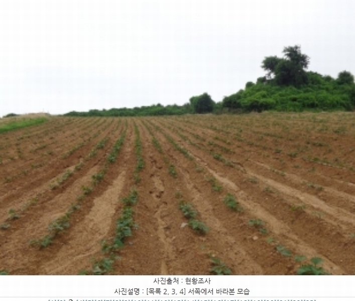 2024타경55721 충청남도 태안군 고남면 누동리 914 임야 경매 이미지
