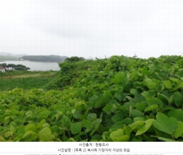 2024타경55721 충청남도 태안군 고남면 누동리 914 임야 경매 이미지