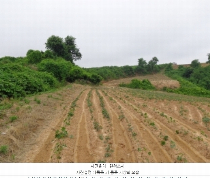 2024타경55721 충청남도 태안군 고남면 누동리 914 임야 경매 이미지