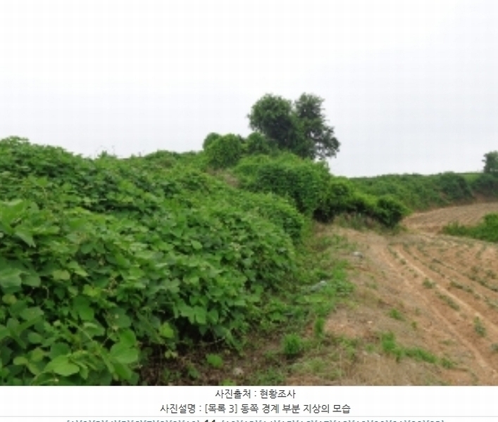 2024타경55721 충청남도 태안군 고남면 누동리 914 임야 경매 이미지