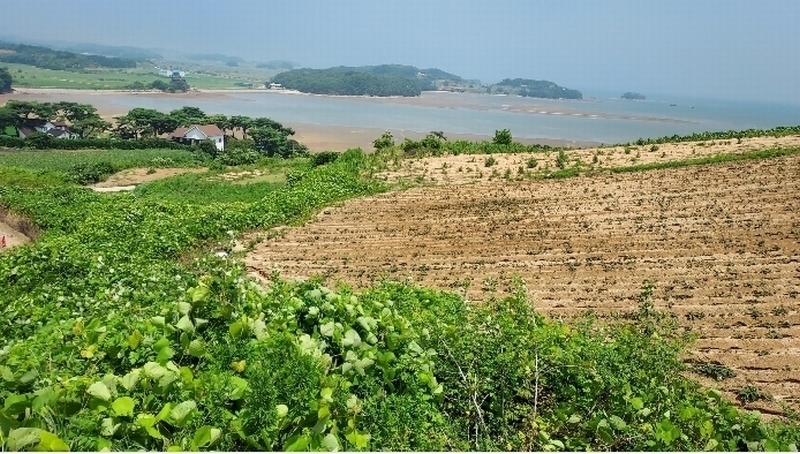 2024타경55721 충청남도 태안군 고남면 누동리 914 임야 경매 이미지