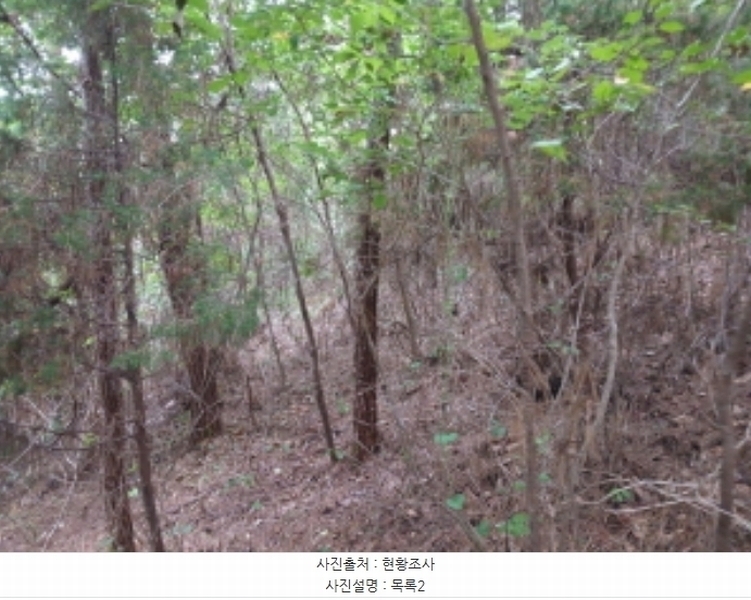2024타경57390 충청남도 당진시 대호지면 장정리 산60-5 임야 경매 이미지