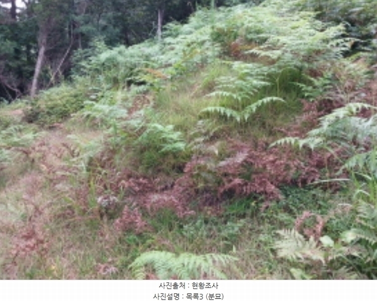 2024타경57390 충청남도 당진시 대호지면 장정리 산60-5 임야 경매 이미지