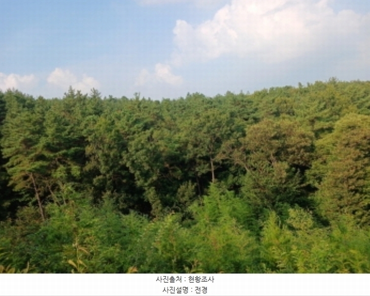 2024타경57390 충청남도 당진시 대호지면 장정리 산60-5 임야 경매 이미지