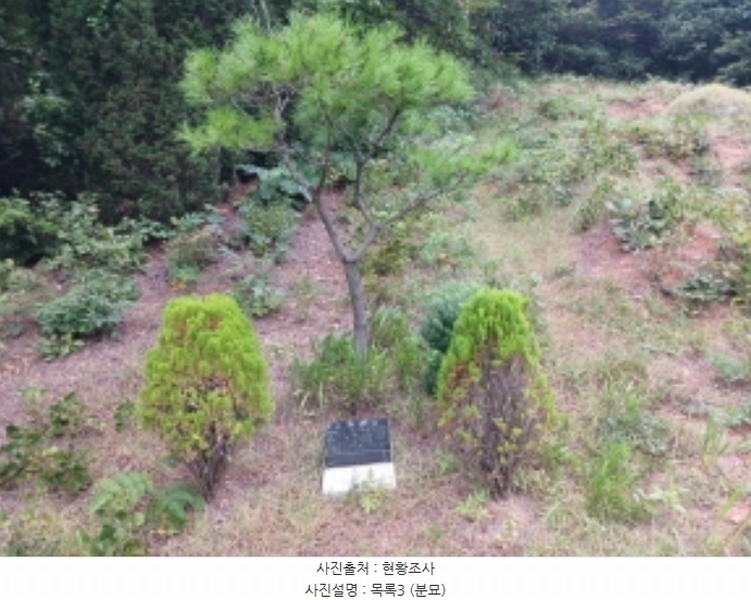 2024타경57390 충청남도 당진시 대호지면 장정리 산60-5 임야 경매 이미지