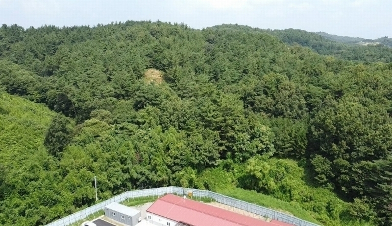 2024타경57390 충청남도 당진시 대호지면 장정리 산60-5 임야 경매 이미지