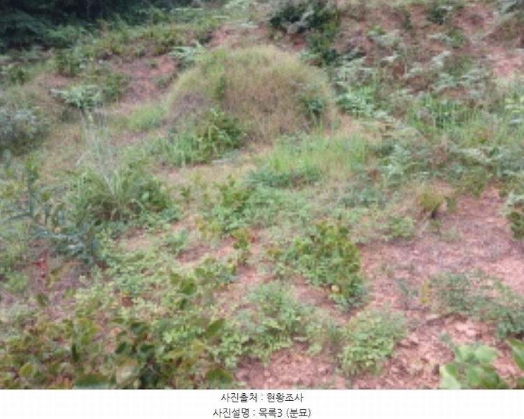 2024타경57390 충청남도 당진시 대호지면 장정리 산60-5 임야 경매 이미지