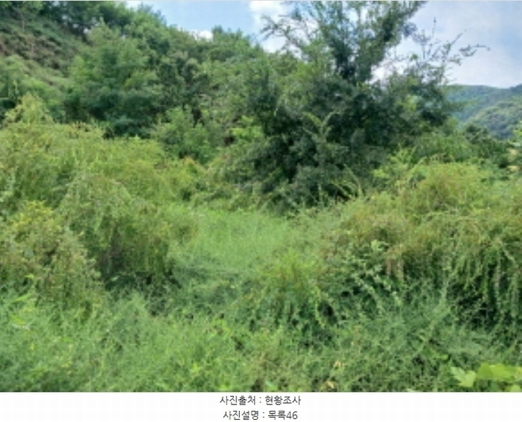 2024타경57413 충청남도 서산시 운산면 고산리 333-3 임야 경매 이미지