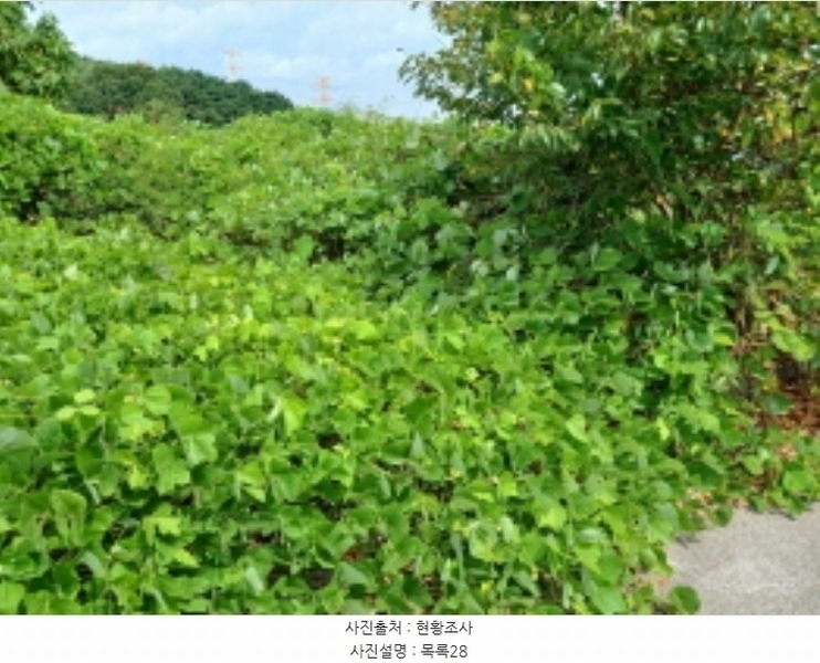 2024타경57413 충청남도 서산시 운산면 고산리 333-3 임야 경매 이미지