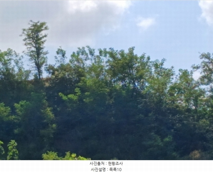 2024타경57413 충청남도 서산시 운산면 고산리 333-3 임야 경매 이미지
