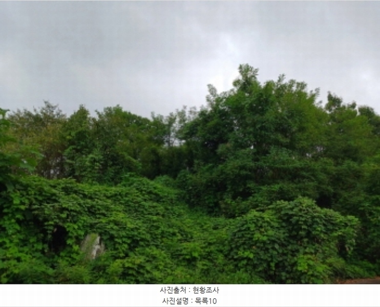 2024타경57413 충청남도 서산시 운산면 고산리 333-3 임야 경매 이미지
