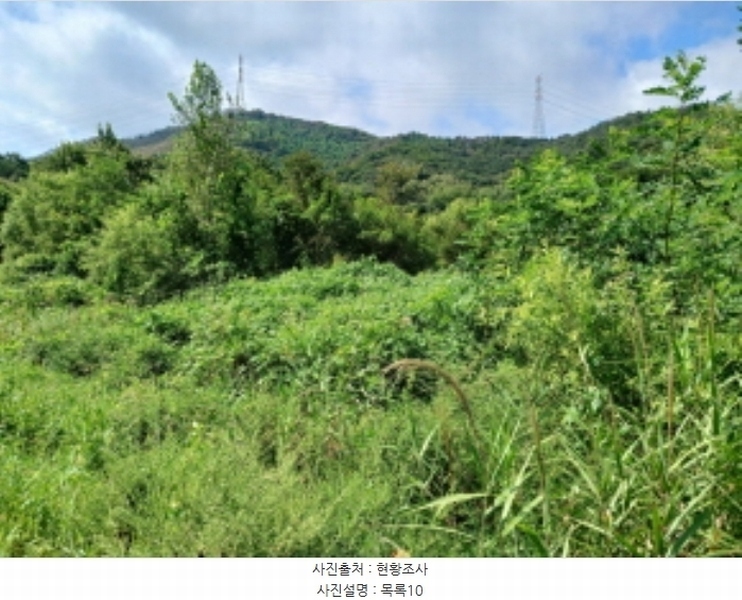 2024타경57413 충청남도 서산시 운산면 고산리 333-3 임야 경매 이미지