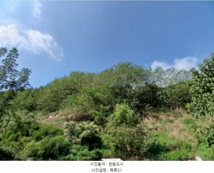 2024타경57413 충청남도 서산시 운산면 고산리 333-3 임야 경매 이미지