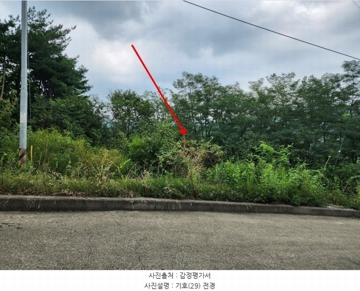 2024타경57413 충청남도 서산시 운산면 고산리 333-3 임야 경매 이미지
