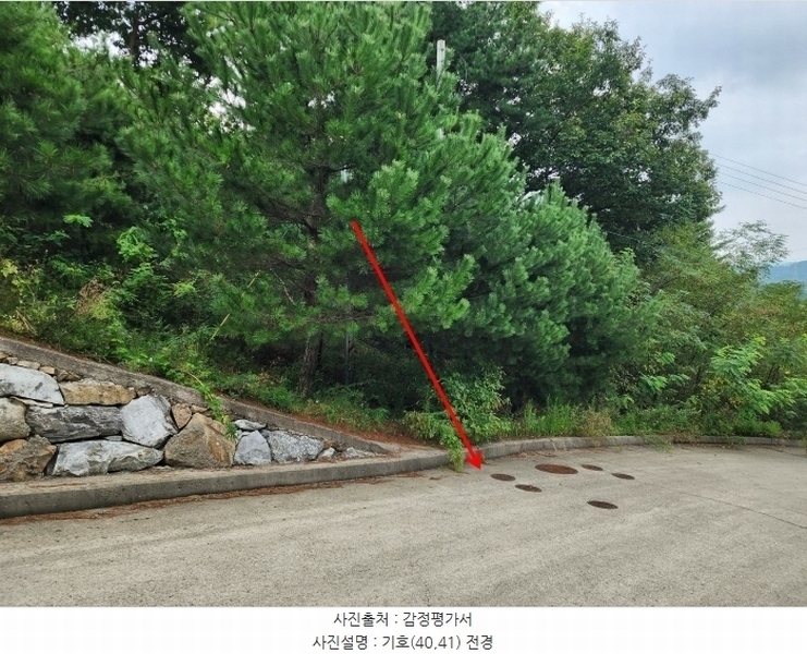 2024타경57413 충청남도 서산시 운산면 고산리 333-3 임야 경매 이미지