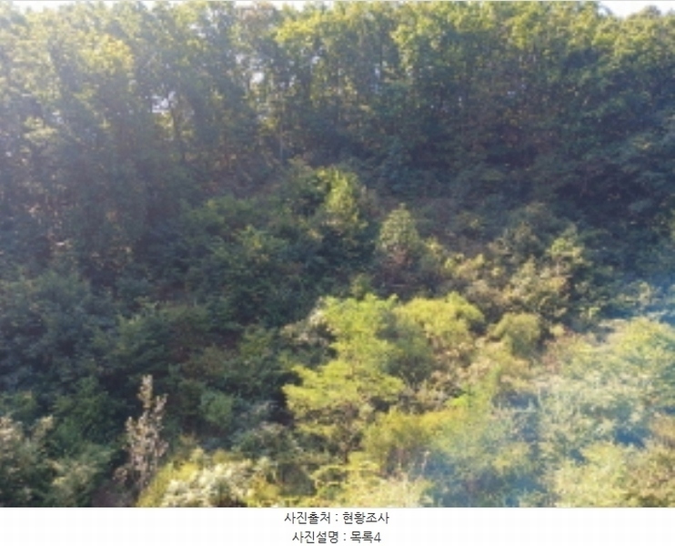 2024타경57413 충청남도 서산시 운산면 고산리 333-3 임야 경매 이미지