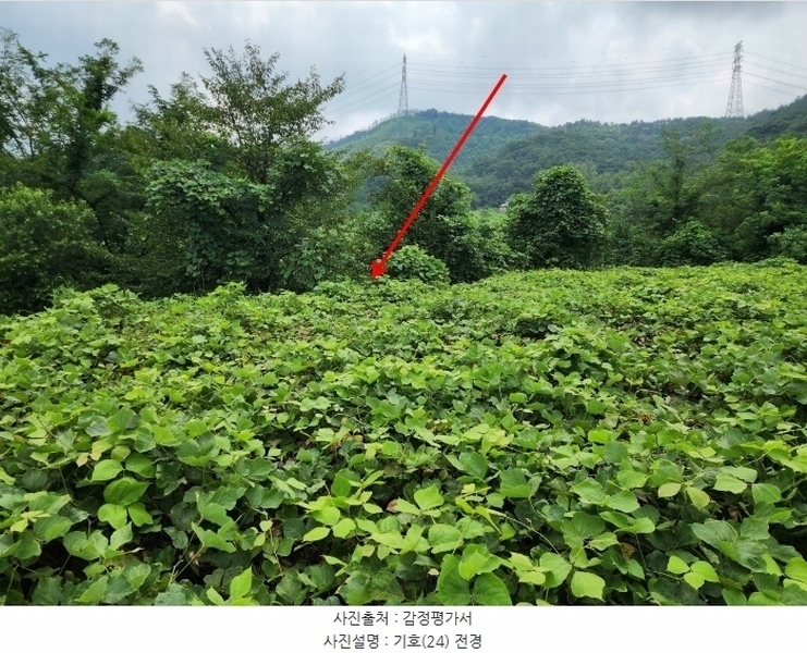 2024타경57413 충청남도 서산시 운산면 고산리 333-3 임야 경매 이미지