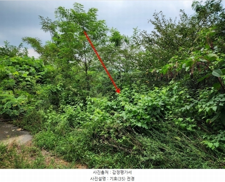 2024타경57413 충청남도 서산시 운산면 고산리 333-3 임야 경매 이미지
