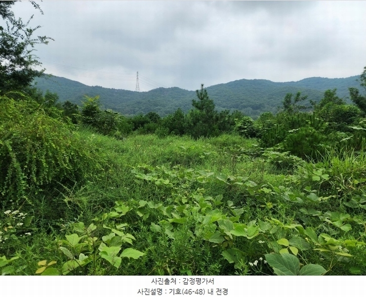 2024타경57413 충청남도 서산시 운산면 고산리 333-3 임야 경매 이미지