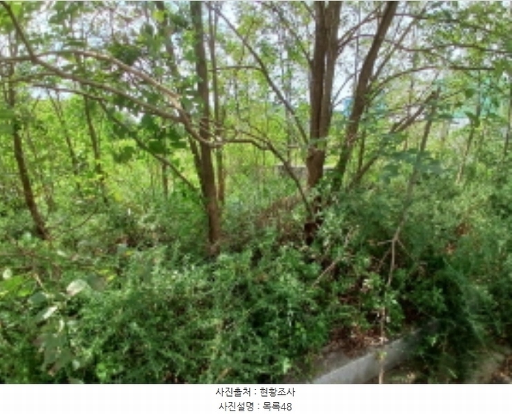2024타경57413 충청남도 서산시 운산면 고산리 333-3 임야 경매 이미지