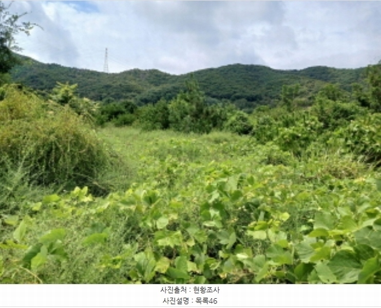 2024타경57413 충청남도 서산시 운산면 고산리 333-3 임야 경매 이미지