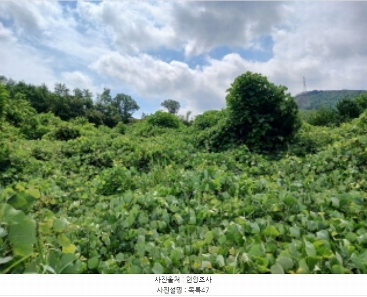 2024타경57413 충청남도 서산시 운산면 고산리 333-3 임야 경매 이미지