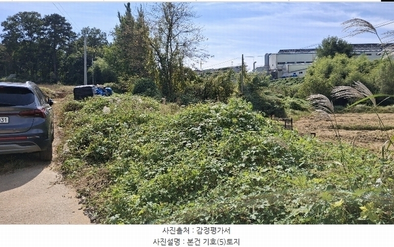 2024타경58768 충청남도 당진시 송악읍 영천리 162 농지 경매 이미지