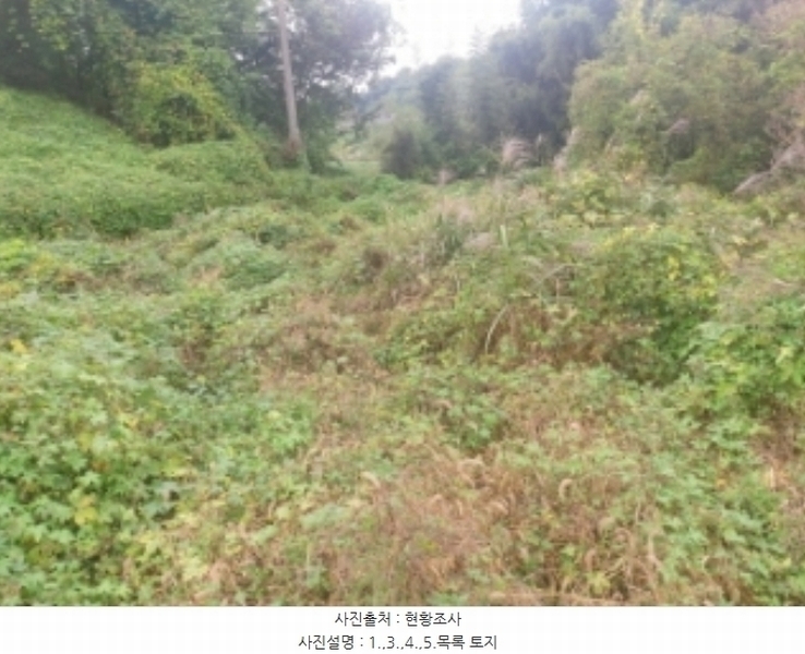 2024타경58768 충청남도 당진시 송악읍 영천리 162 농지 경매 이미지