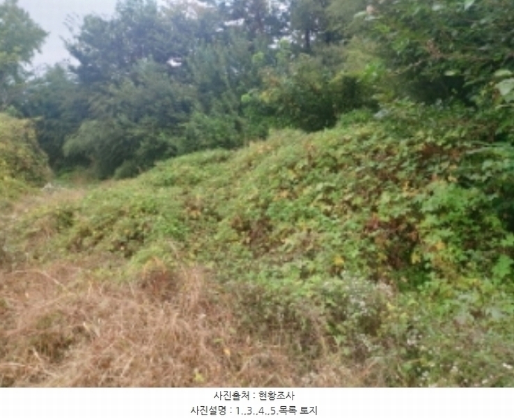 2024타경58768 충청남도 당진시 송악읍 영천리 162 농지 경매 이미지