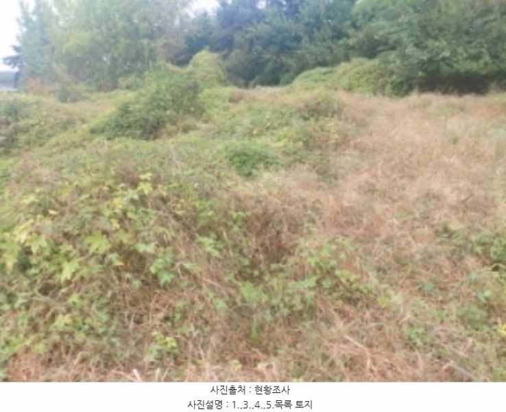 2024타경58768 충청남도 당진시 송악읍 영천리 162 농지 경매 이미지