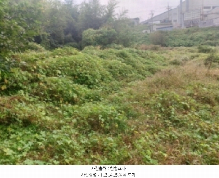 2024타경58768 충청남도 당진시 송악읍 영천리 162 농지 경매 이미지